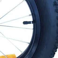Burley Roue Rayonnées Avec Pneus 16'' Fat Bike Pour Remorque Vélo -Rubéna Soldes Boutique roue rayonnees avec pneus 16 fat bike pour remorque velo 2